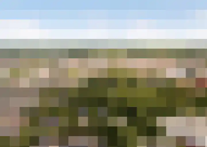 Beukenlaan 5 Alphen aan den Rijn thumbnail 53