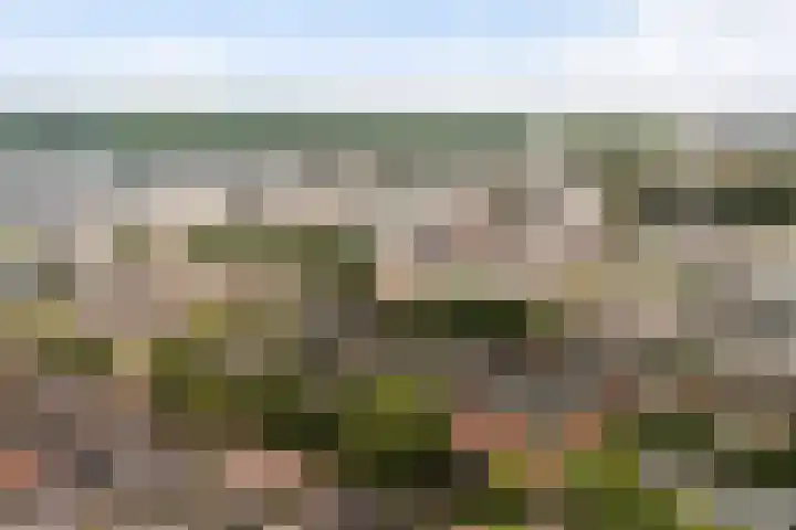 Beukenlaan 5 Alphen aan den Rijn thumbnail 54