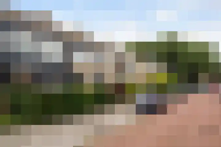 Beukenlaan 5 Alphen aan den Rijn thumbnail 6