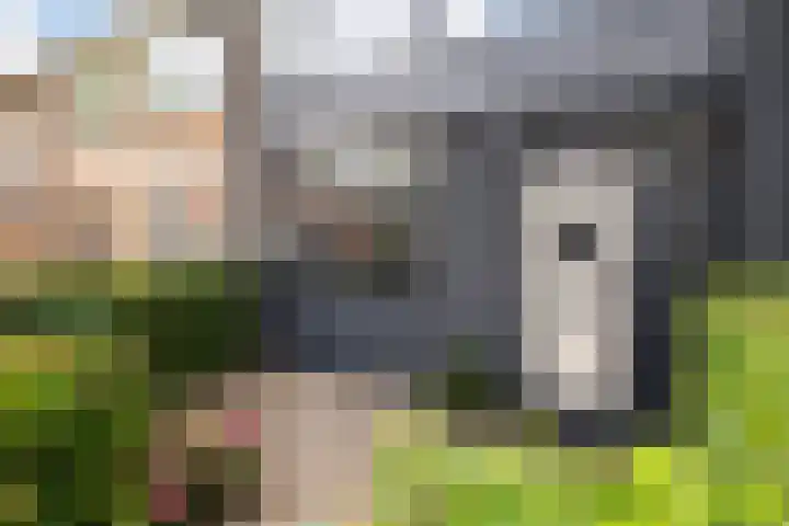 Beukenlaan 5 Alphen aan den Rijn thumbnail 8