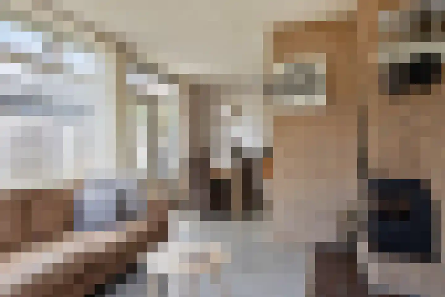 Beukenlaan 5 Barchem thumbnail 15