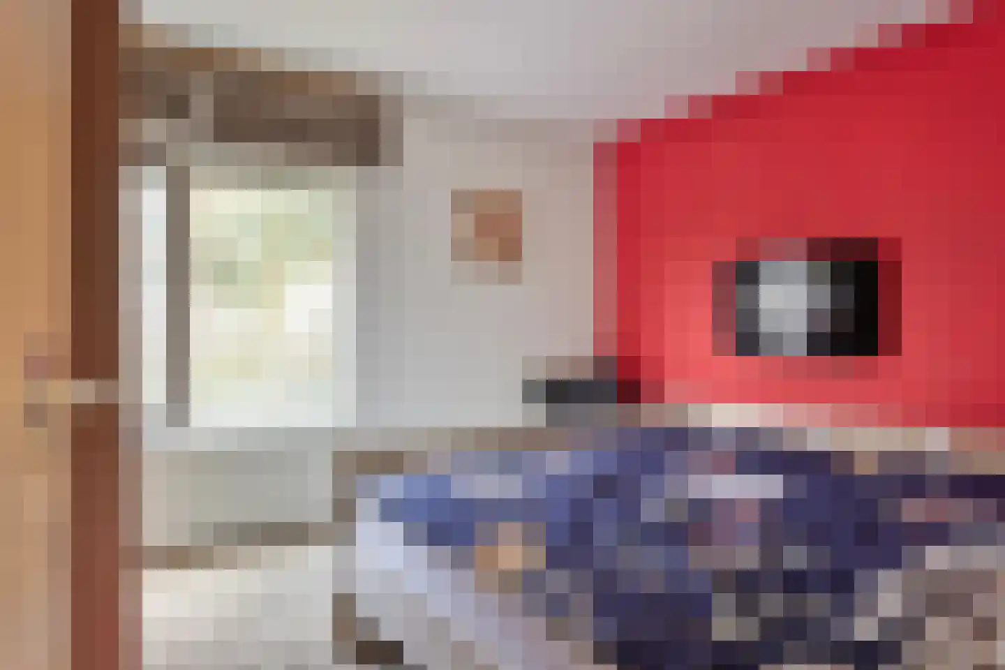 Beukenlaan 5 Barchem thumbnail 20