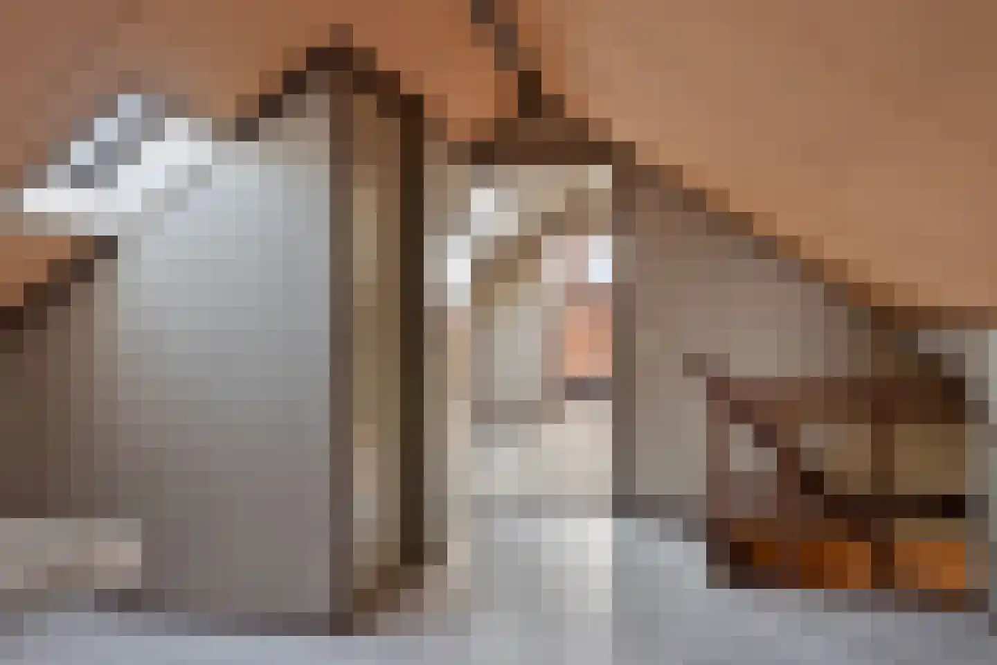 Beukenlaan 5 Barchem thumbnail 26