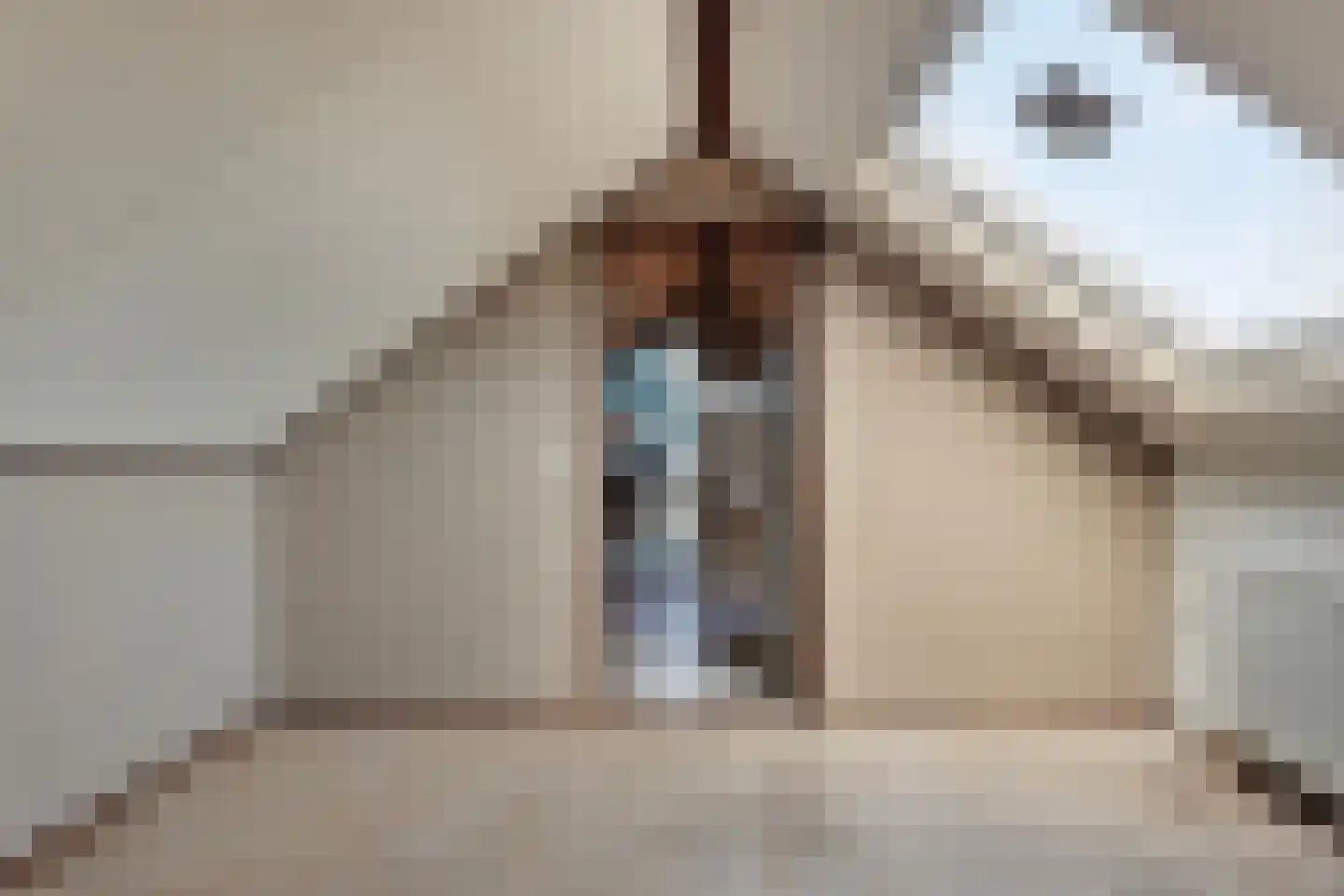 Beukenlaan 5 Barchem thumbnail 30