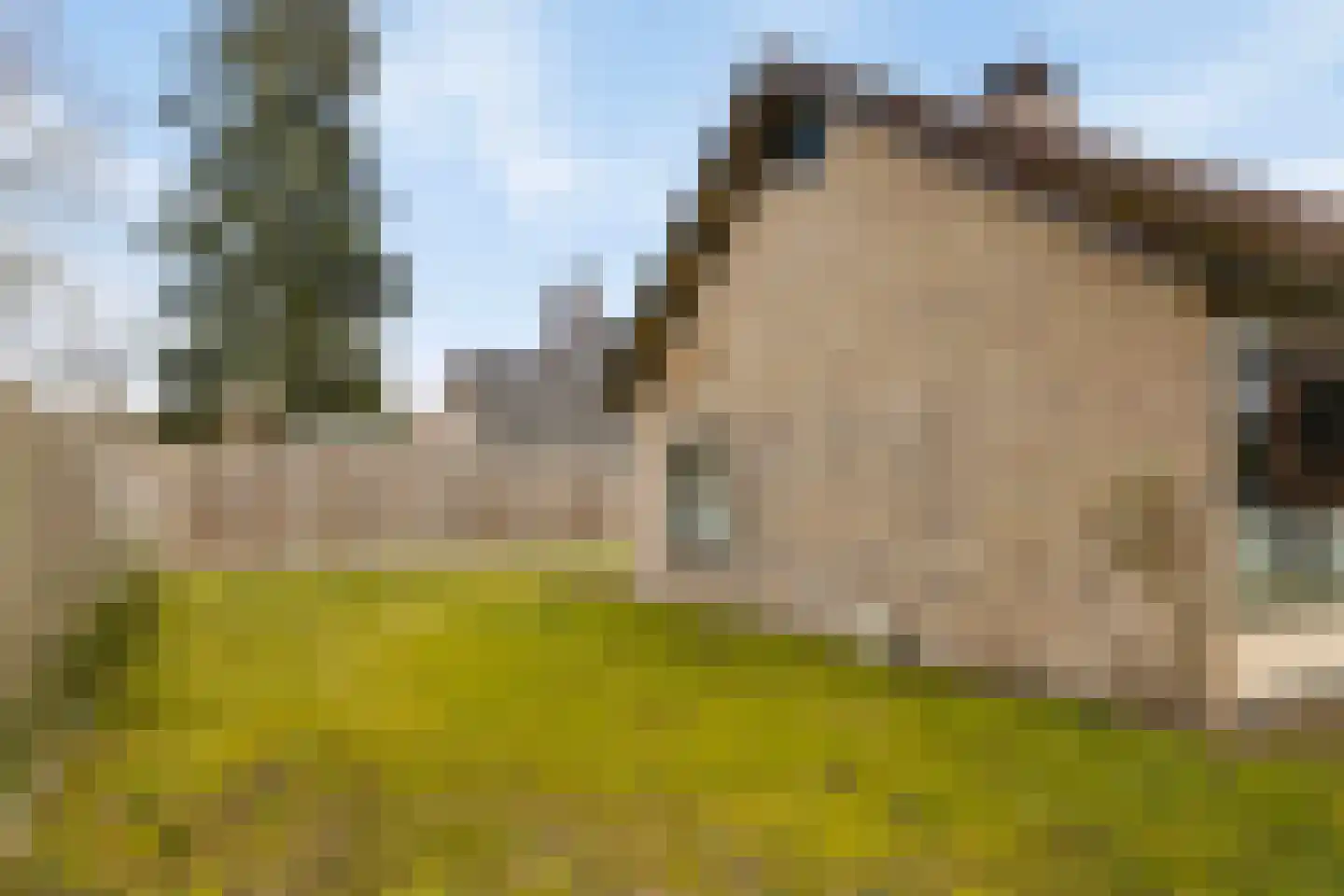 Beukenlaan 5 Barchem thumbnail 32
