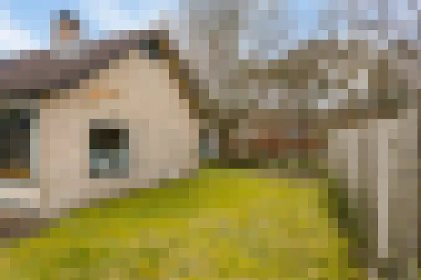 Beukenlaan 5 Barchem thumbnail 33