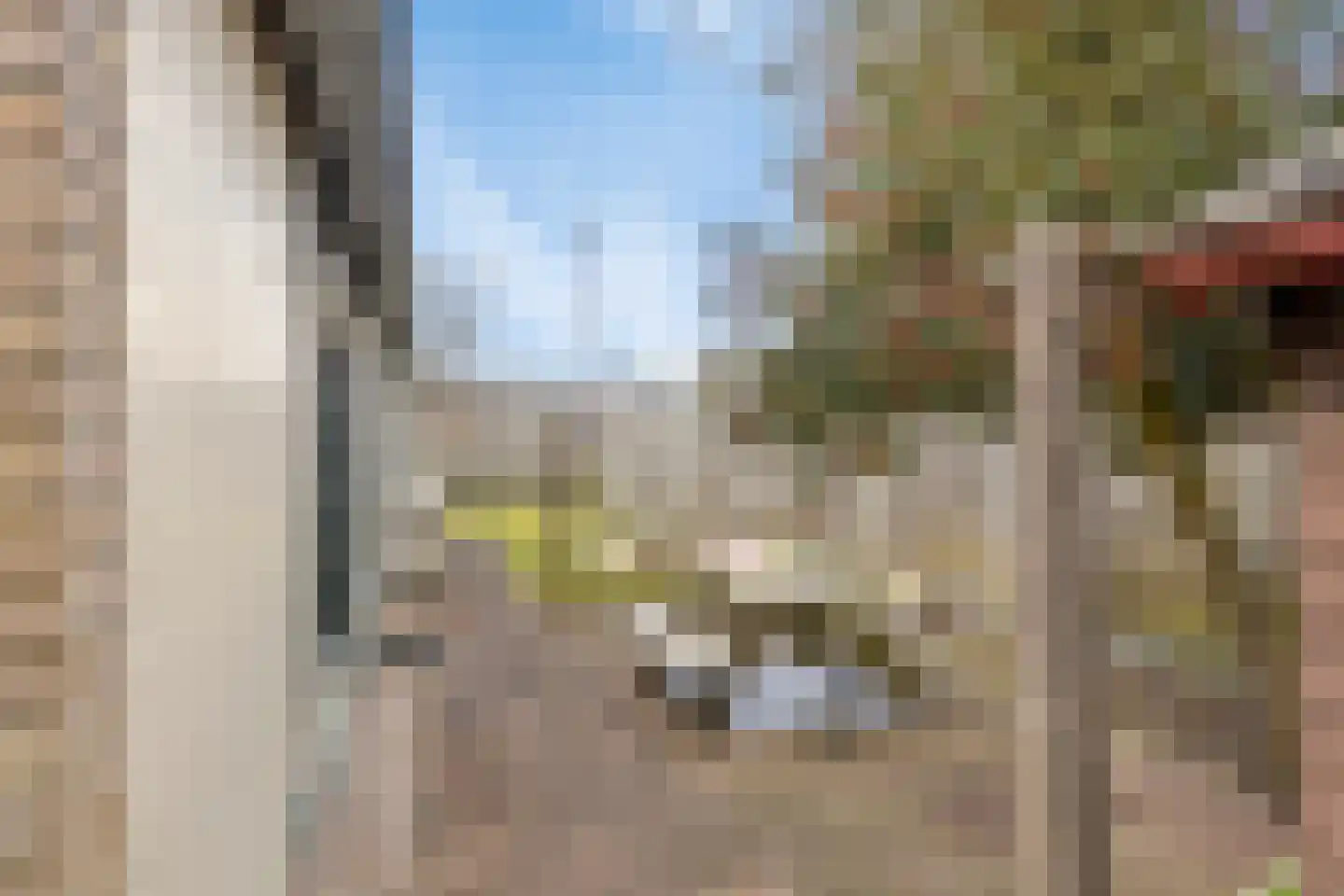 Beukenlaan 5 Barchem thumbnail 36
