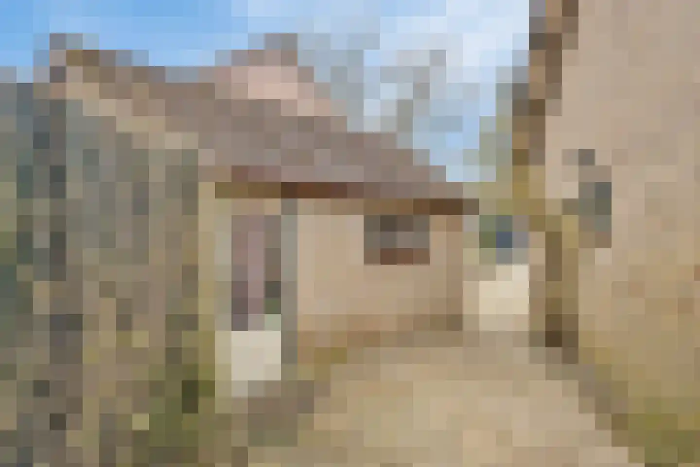 Beukenlaan 5 Barchem thumbnail 37