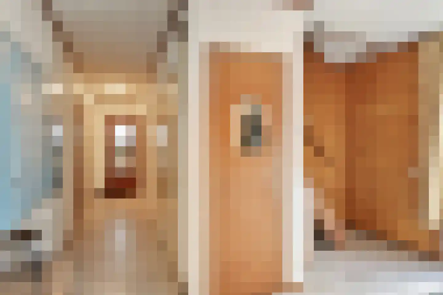 Beukenlaan 5 Barchem thumbnail 8