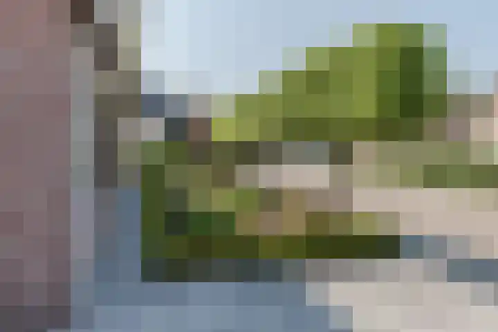 Beukenlaan 5 Bosschenhoofd thumbnail 12