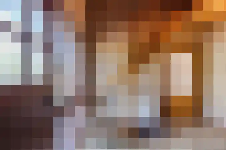 Beukenlaan 5 Bosschenhoofd thumbnail 14