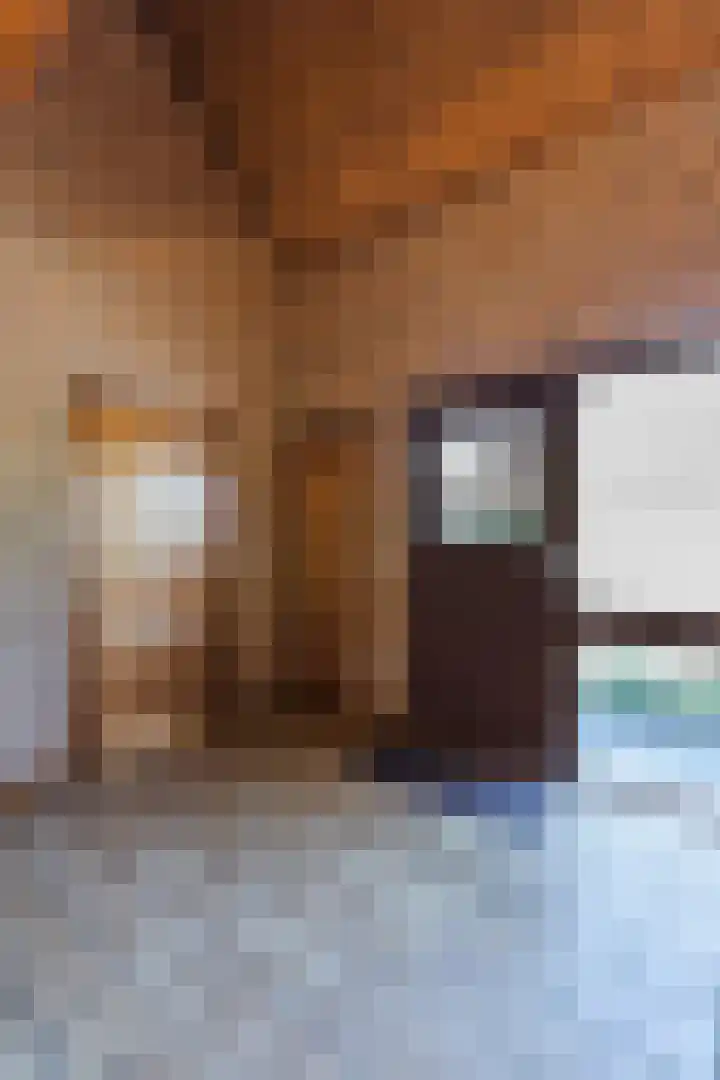 Beukenlaan 5 Bosschenhoofd thumbnail 19