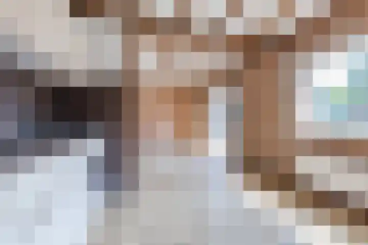 Beukenlaan 5 Bosschenhoofd thumbnail 31