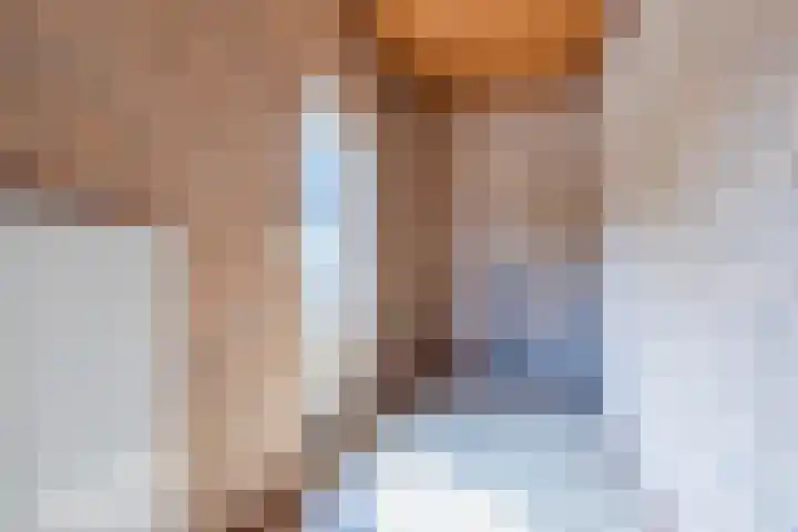 Beukenlaan 5 Bosschenhoofd thumbnail 32