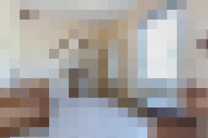 Beukenlaan 5 Bosschenhoofd thumbnail 34