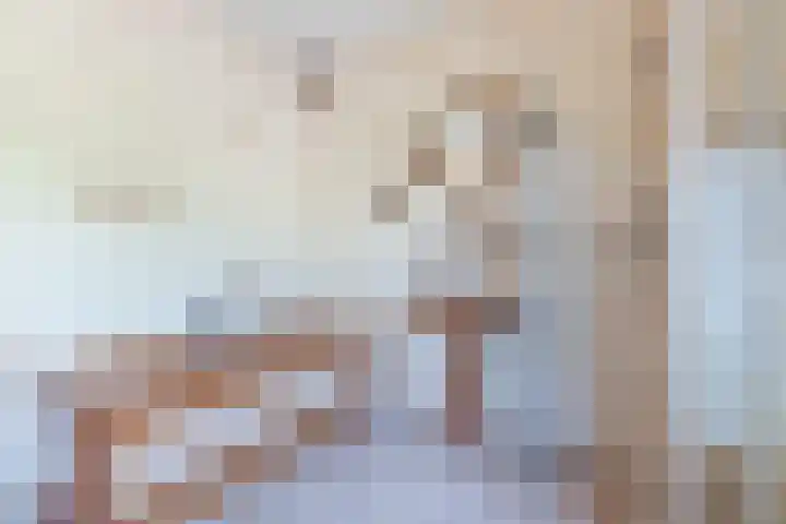 Beukenlaan 5 Bosschenhoofd thumbnail 36