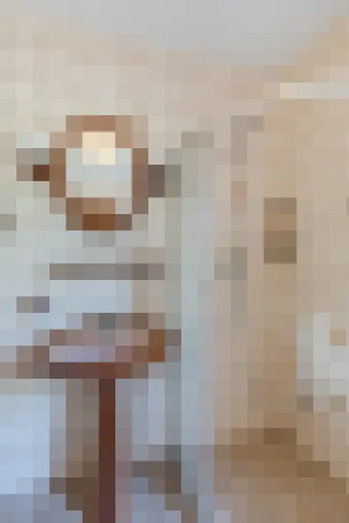Beukenlaan 5 Bosschenhoofd thumbnail 37