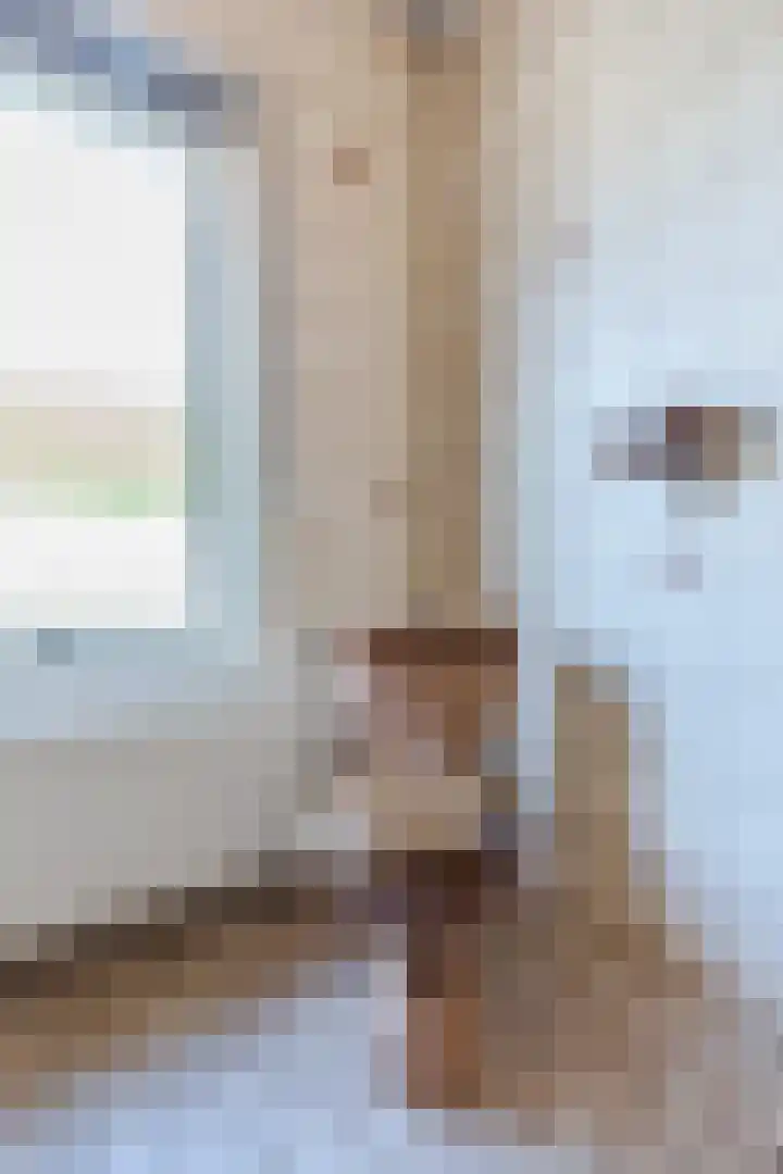 Beukenlaan 5 Bosschenhoofd thumbnail 38