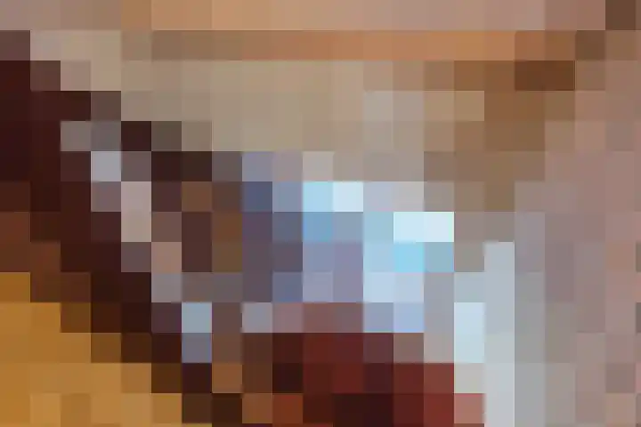 Beukenlaan 5 Bosschenhoofd thumbnail 43