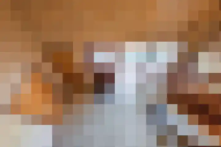 Beukenlaan 5 Bosschenhoofd thumbnail 44