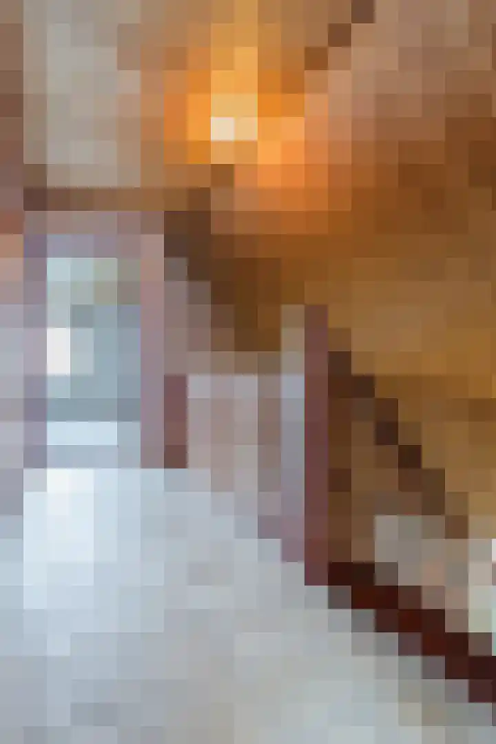 Beukenlaan 5 Bosschenhoofd thumbnail 46