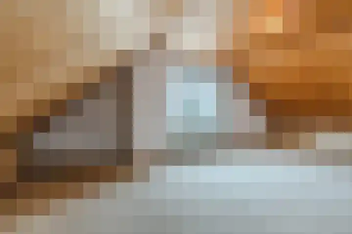 Beukenlaan 5 Bosschenhoofd thumbnail 49