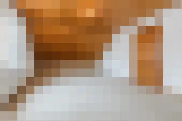 Beukenlaan 5 Bosschenhoofd thumbnail 50