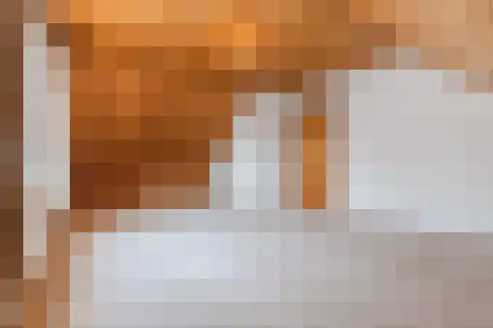 Beukenlaan 5 Bosschenhoofd thumbnail 51