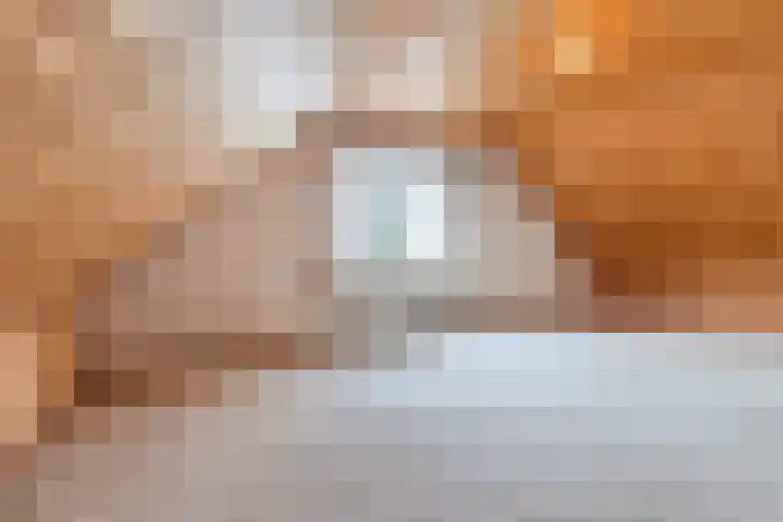 Beukenlaan 5 Bosschenhoofd thumbnail 52