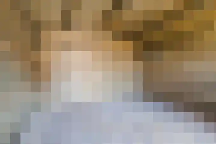 Beukenlaan 5 Bosschenhoofd thumbnail 57