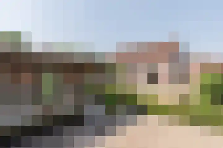 Beukenlaan 5 Bosschenhoofd thumbnail 58