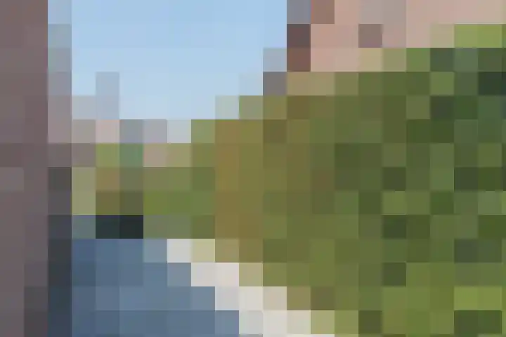 Beukenlaan 5 Bosschenhoofd thumbnail 62