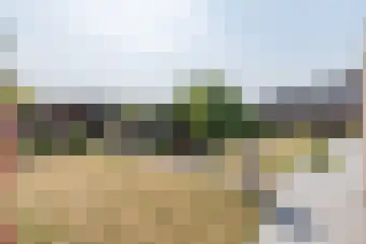 Beukenlaan 5 Bosschenhoofd thumbnail 63