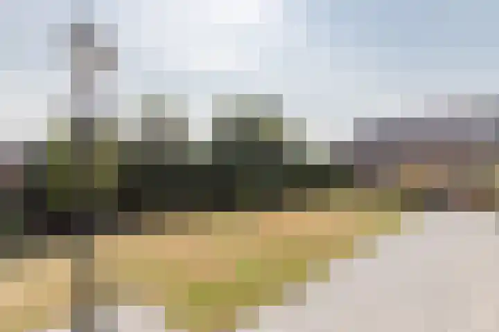 Beukenlaan 5 Bosschenhoofd thumbnail 65