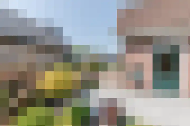 Beukenlaan 5 Bosschenhoofd thumbnail 68