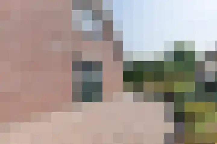 Beukenlaan 5 Bosschenhoofd thumbnail 70