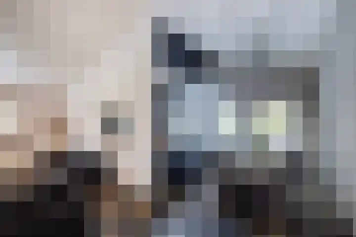 Beukenlaan 5 Doornspijk thumbnail 16