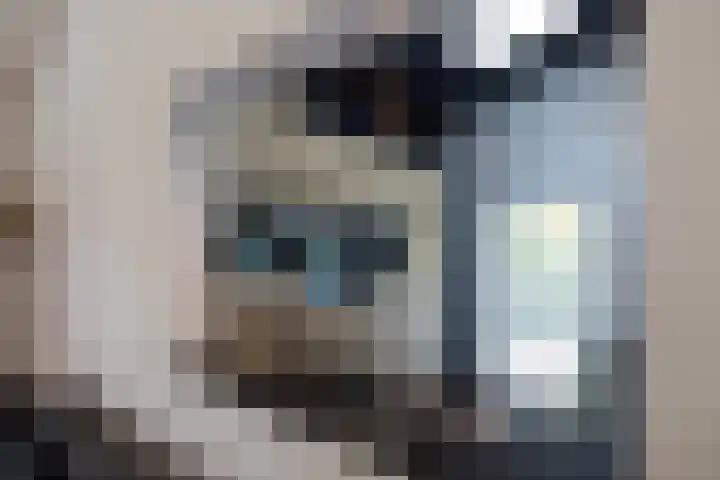 Beukenlaan 5 Doornspijk thumbnail 20