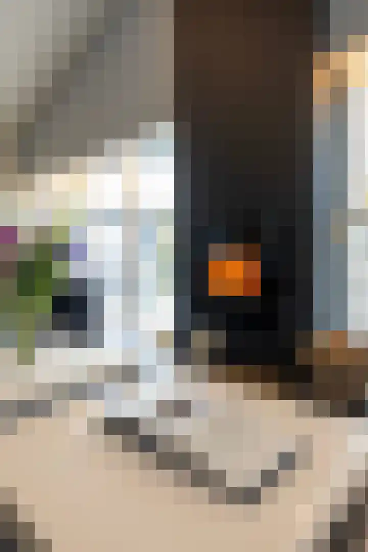 Beukenlaan 5 Doornspijk thumbnail 21