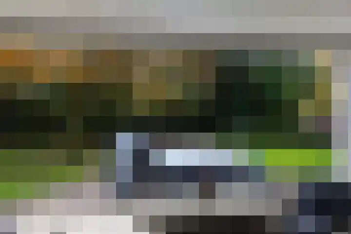 Beukenlaan 5 Doornspijk thumbnail 23
