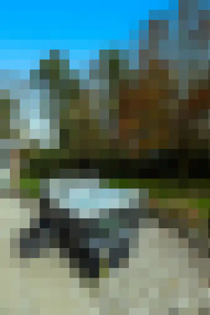 Beukenlaan 5 Doornspijk thumbnail 24