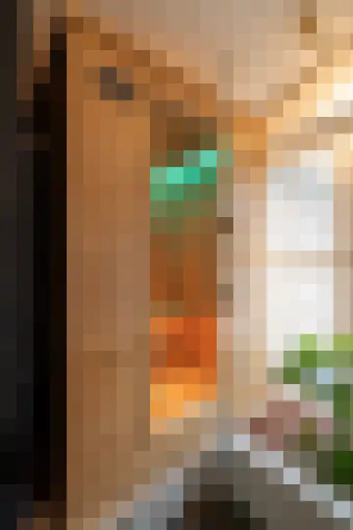 Beukenlaan 5 Doornspijk thumbnail 28
