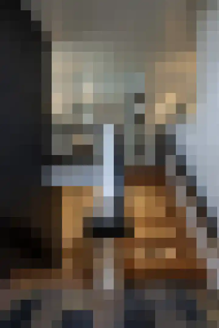 Beukenlaan 5 Doornspijk thumbnail 29