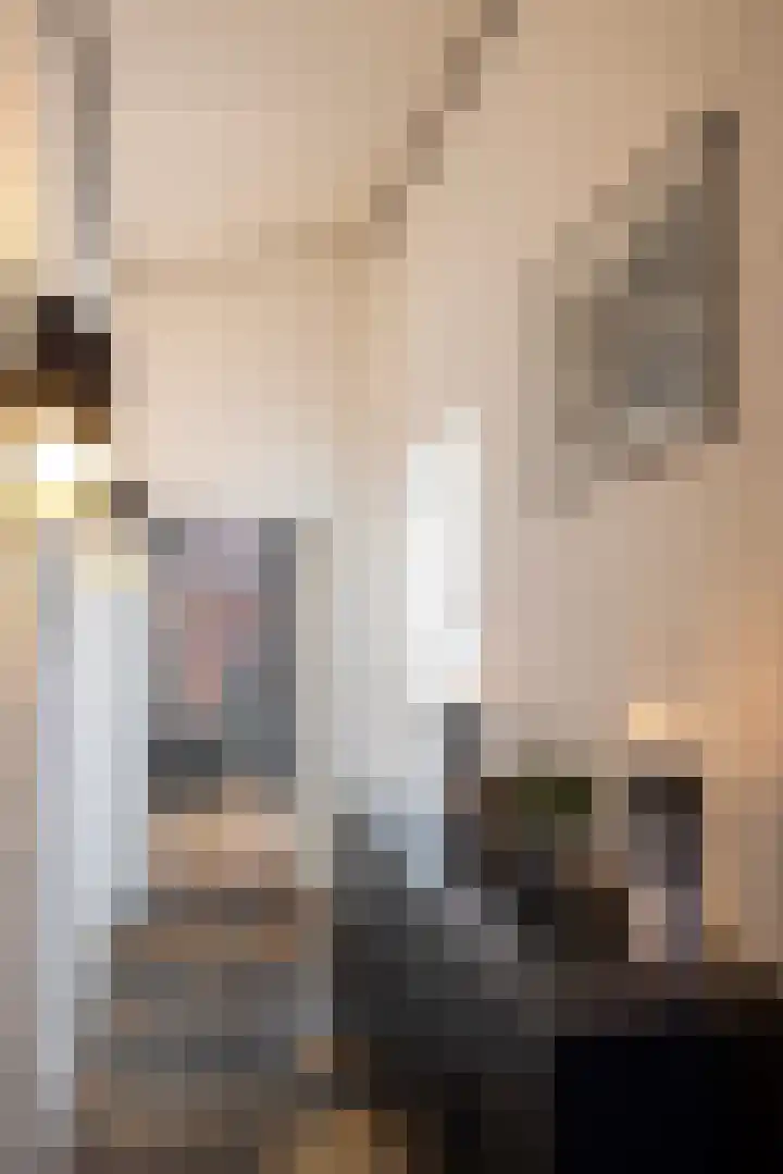 Beukenlaan 5 Doornspijk thumbnail 34
