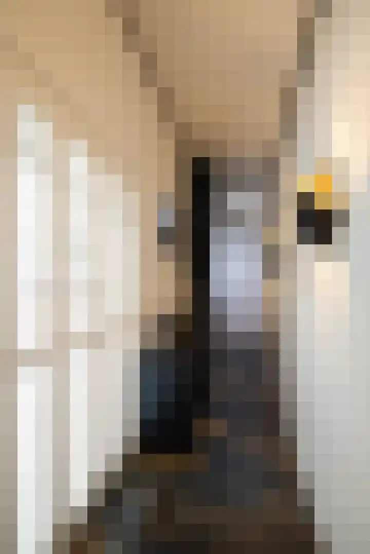 Beukenlaan 5 Doornspijk thumbnail 35