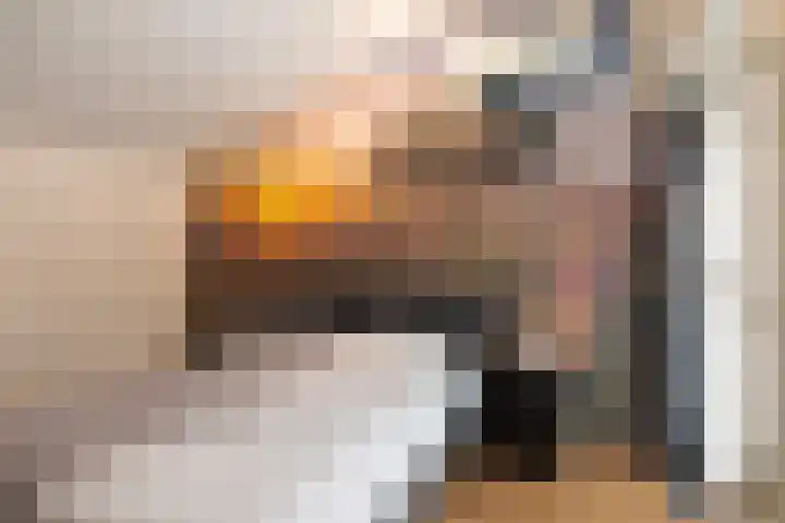 Beukenlaan 5 Doornspijk thumbnail 36