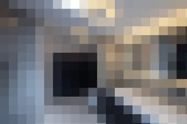 Beukenlaan 5 Doornspijk thumbnail 38