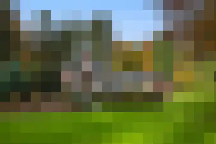 Beukenlaan 5 Doornspijk thumbnail 4