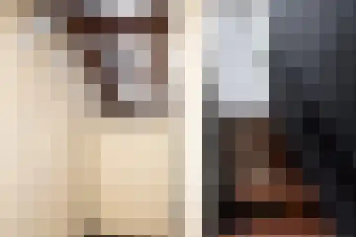 Beukenlaan 5 Doornspijk thumbnail 41