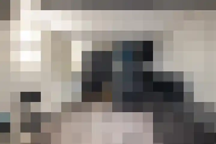 Beukenlaan 5 Doornspijk thumbnail 43